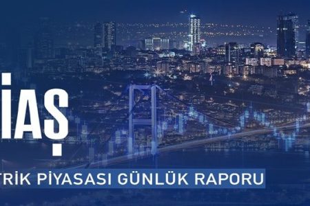 Enerji Sektörü Piyasası İstatistiksel Analizi ( 07.08.2020)